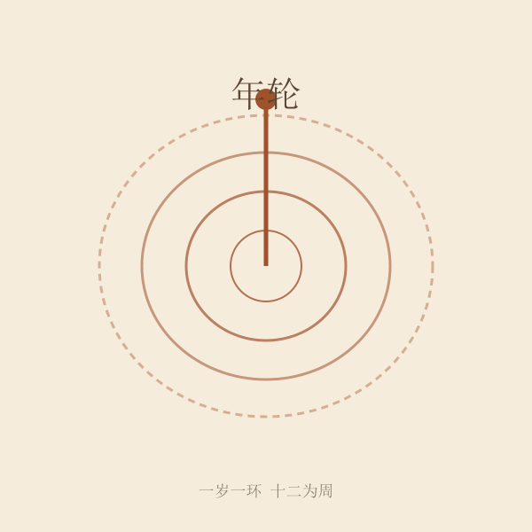 十二生肖与地支年份轮转图