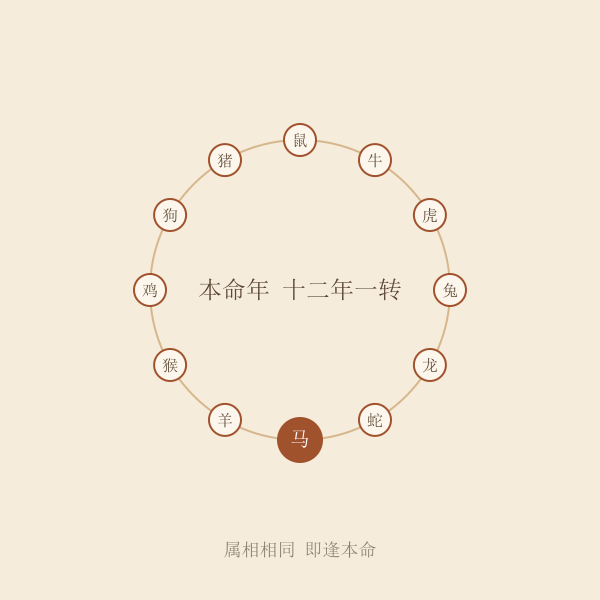 本命年十二年一循环图