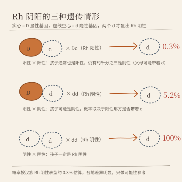 Rh 阴阳三代遗传与出现概率