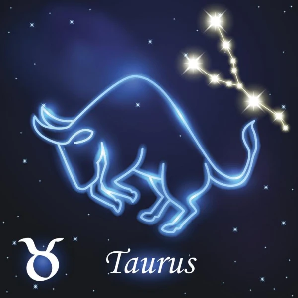 属牛人今日运势全解析：12星座运势指南