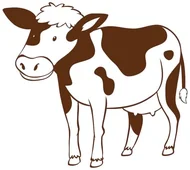 属牛人今日运势解析：2025年2月9日财运走势+提升技巧全公开