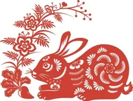 属兔人2025年2月9日财运走势解析：必看3个提运技巧