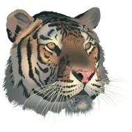 今天打牌财运方位怎么选：明日财位预测超实用攻略