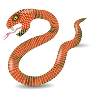 十二生肖哪个没有心脏？真实答案解析：冷知识揭晓