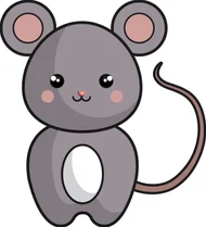 十二生肖时辰对照表视频：精准查询时辰+生肖运势全解