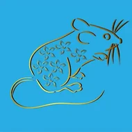 十二生肖儿歌顺口溜歌词大全