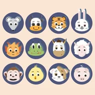 十二生肖相冲相克全解析：最全关系表