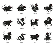 生肖密码破译指南：看懂圆形排列图必读