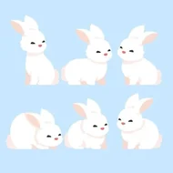 没尾巴生肖怎么选：三分钟看懂正确配对秘诀