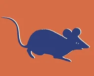 十二生肖动画片推荐：解密5个千年传说冷知识