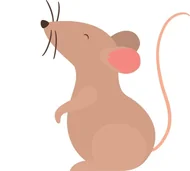 十二生肖为什么叫十二缺？老祖宗留下的补缺智慧