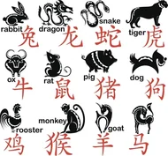 十二生肖时辰发音指南：正确读法全解析