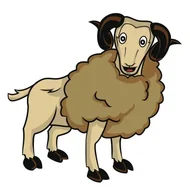 十二生肖性格弱点大公开：这6个隐藏缺陷最坑人