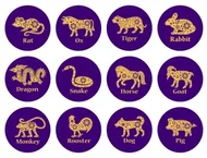 十二生肖口诀视频：3分钟动画背熟歌诀