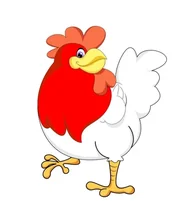 12生肖身体构造大揭秘：哪个动物天生没有尾巴？