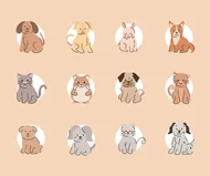 十二生肖顺口溜记忆攻略：3分钟牢记千年排序口诀