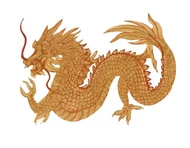 揭秘十二生肖心脏谜题：无心脏真相