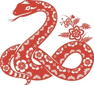 十二生肖五行属性全解析：3分钟看懂命理密码