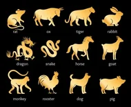 十二生肖顺序表图资料解析：5分钟掌握千年文化密码