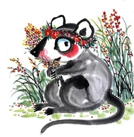 十二生肖运势解析：查查你缺哪样好运气