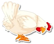 12生肖尾巴缺失之谜：哪些动物天生无尾？