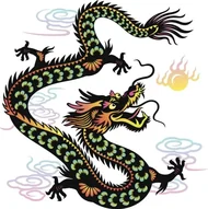 2024年运势解析：生肖密码全掌握