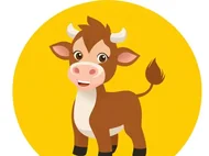 十二生肖性格揭秘：破解十二缺对照表