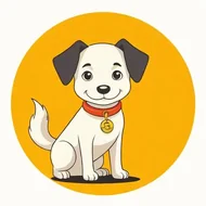 1982年狗什么命五行缺什么，五行补缺建议