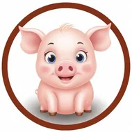 属猪2025的特大贵人有哪些：属猪的终身贵人