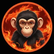 2025年属猴血光之灾 原因，属猴2025年的特大贵人