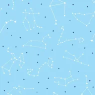 很多人说属羊的女人克男人的：属羊人一辈子的克星