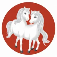 属马的最佳配偶属相都哪几个：马的配偶是什么生肖