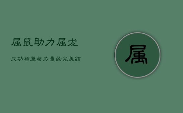 属鼠助力属龙成功：智慧与力量的完美结合