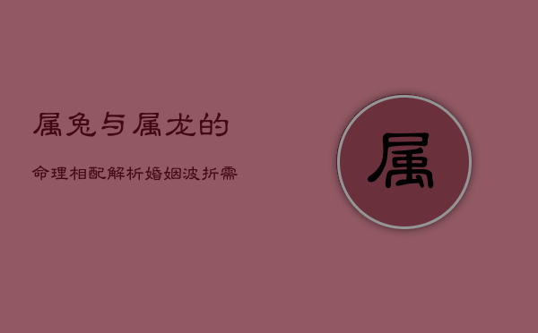 属兔与属龙的命理相配解析：婚姻波折需磨合  第1张