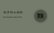 猴男猴女婚配解析：相爱胜过属相界限