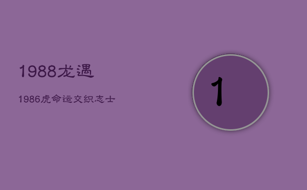 1988龙遇1986虎：命运交织，志士之路与逆风前行  第1张