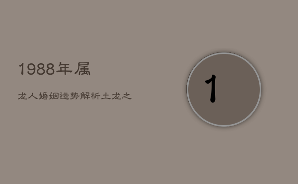 1988年属龙人婚姻运势解析：土龙之命的爱与挑战  第1张