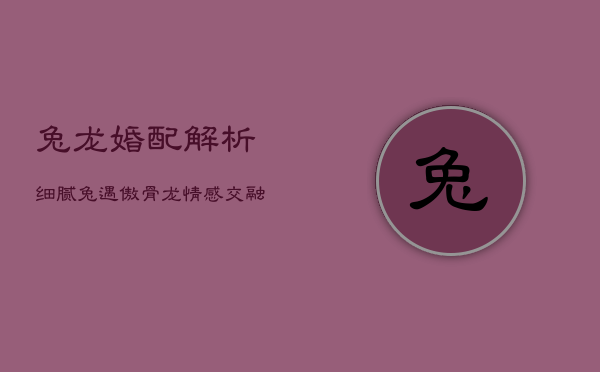 兔龙婚配解析：细腻兔遇傲骨龙，情感交融的奥秘  第1张