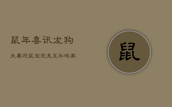 鼠年喜讯：龙狗夫妻迎鼠宝，完美互补旺家庭  第1张