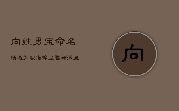 向姓男宝命名精选：弘毅瑾瑜，龙腾瀚海显不凡  第1张