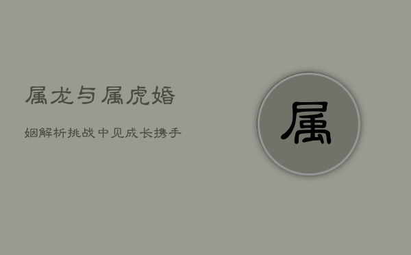 属龙与属虎婚姻解析：挑战中见成长，携手共创美满未来  第1张