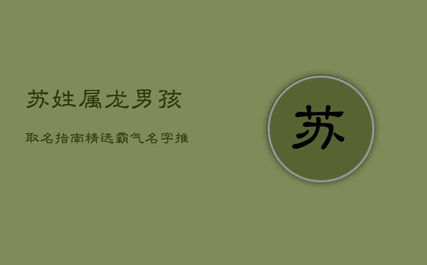 苏姓属龙男孩取名指南：精选霸气名字推荐