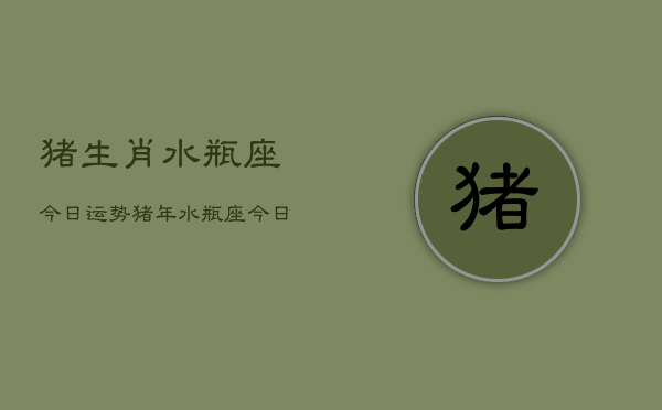 猪生肖水瓶座今日运势，猪年水瓶座今日运程如何  第1张