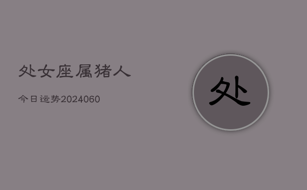 处女座属猪人今日运势(20240607)  第1张