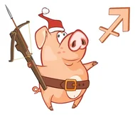 美国神婆2025星座运势：全网最准解析+避坑指南