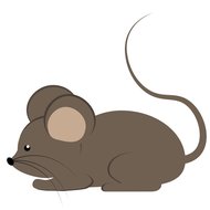 属鼠今日运势解析：2025年2月7日吉凶指南