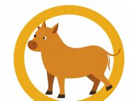 十二生肖配对秘籍：相生相克表全解析