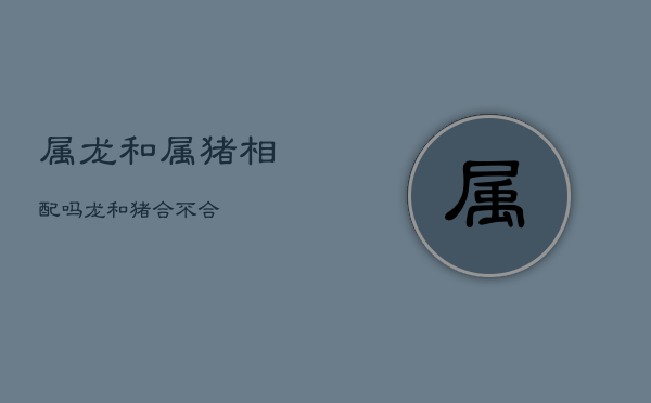 属龙和属猪相配吗，龙和猪合不合  第1张