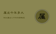 属龙今年多大年纪，属龙人今年年龄概览